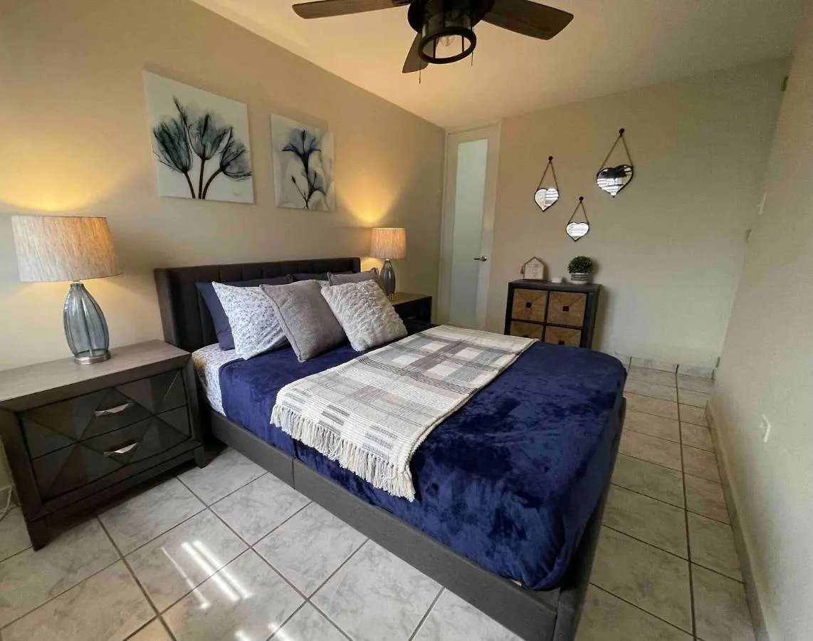 Apartment True Beachfront Oasis With Amazing Views Life Luquillo