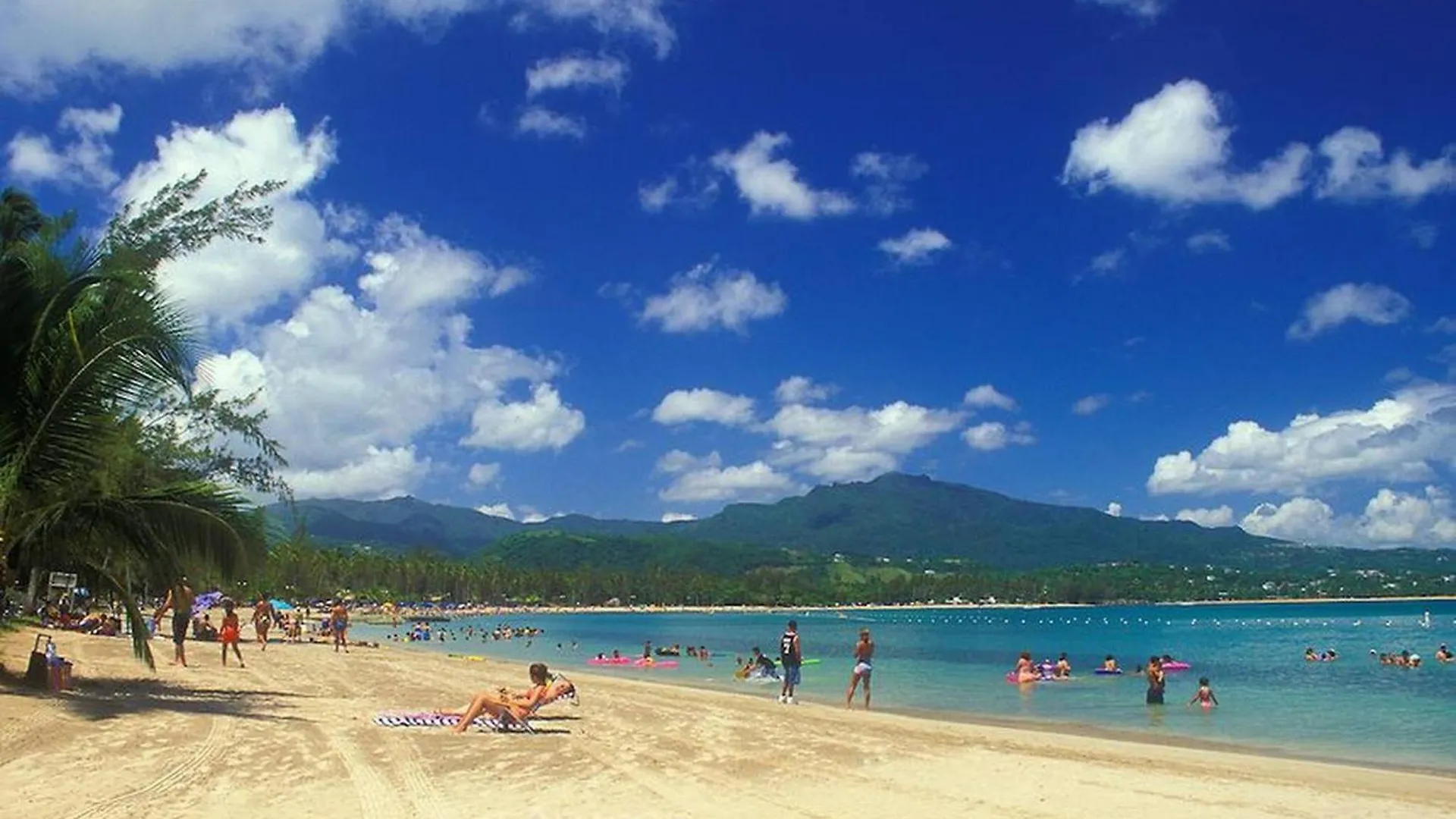True Beachfront Oasis With Amazing Views Life Luquillo Apartment