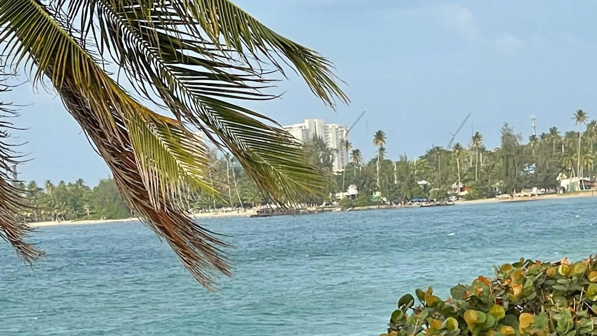 True Beachfront Oasis With Amazing Views Life Luquillo Apartment
